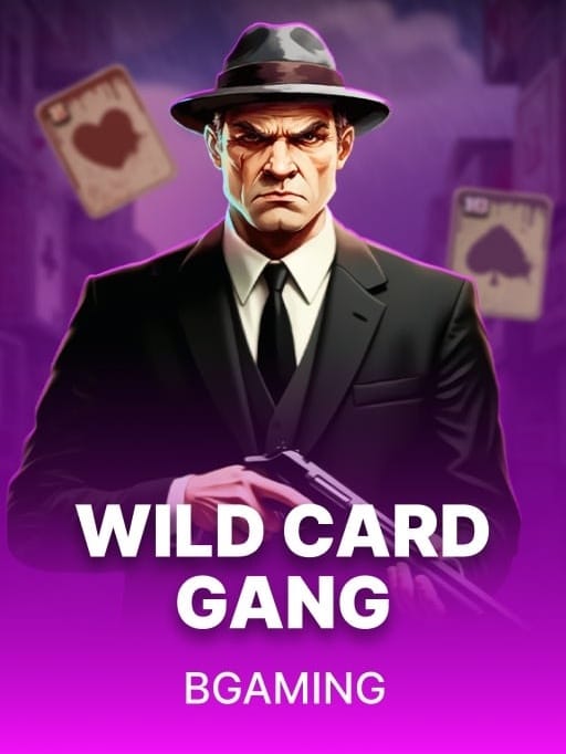 Wild Card Gang game cover